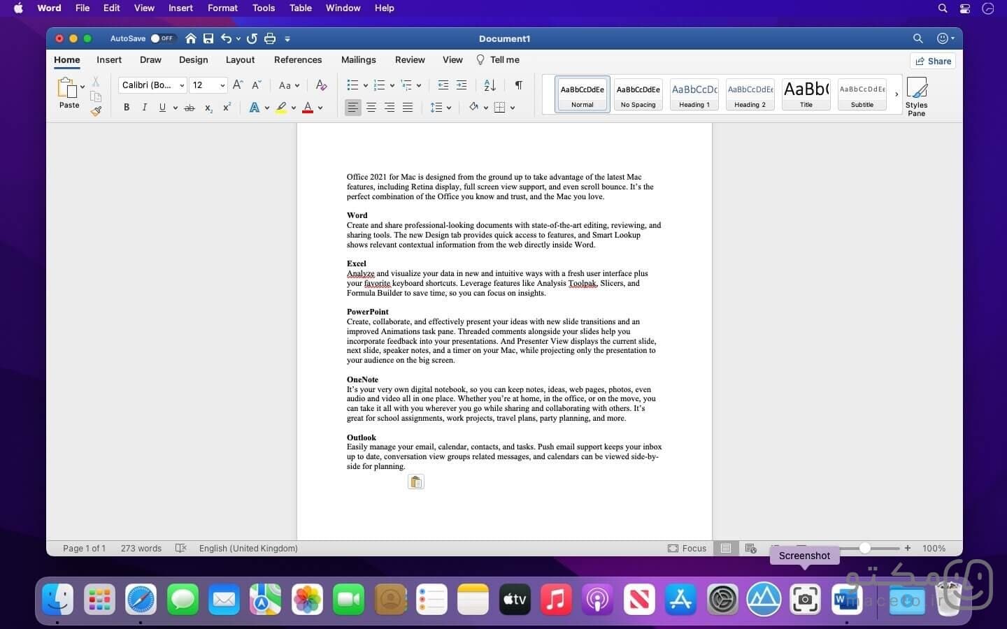 Microsoft Office LTSC - تصویر 1