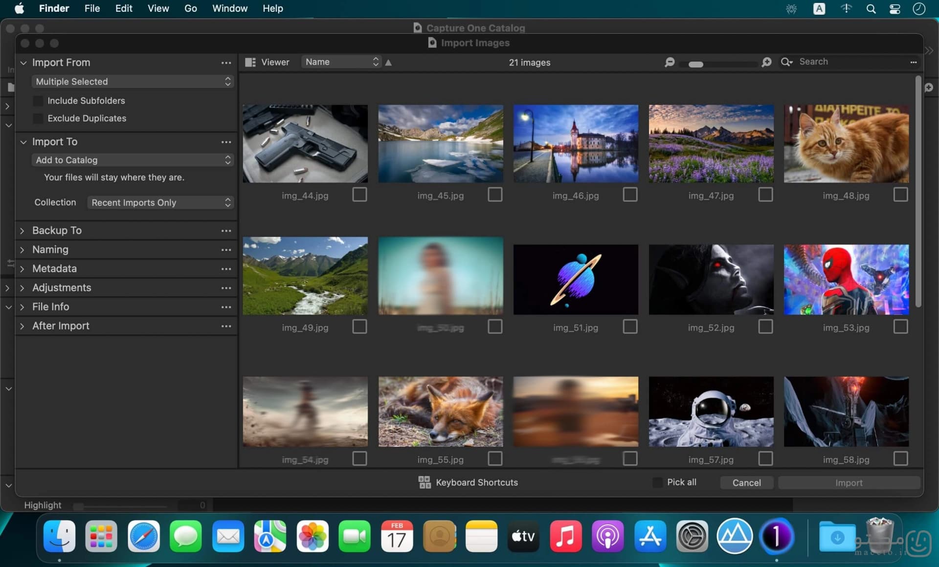 Capture One - تصویر 2