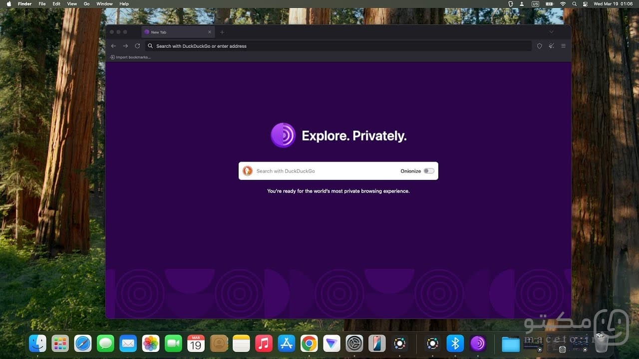 Tor Browser - تصویر 1