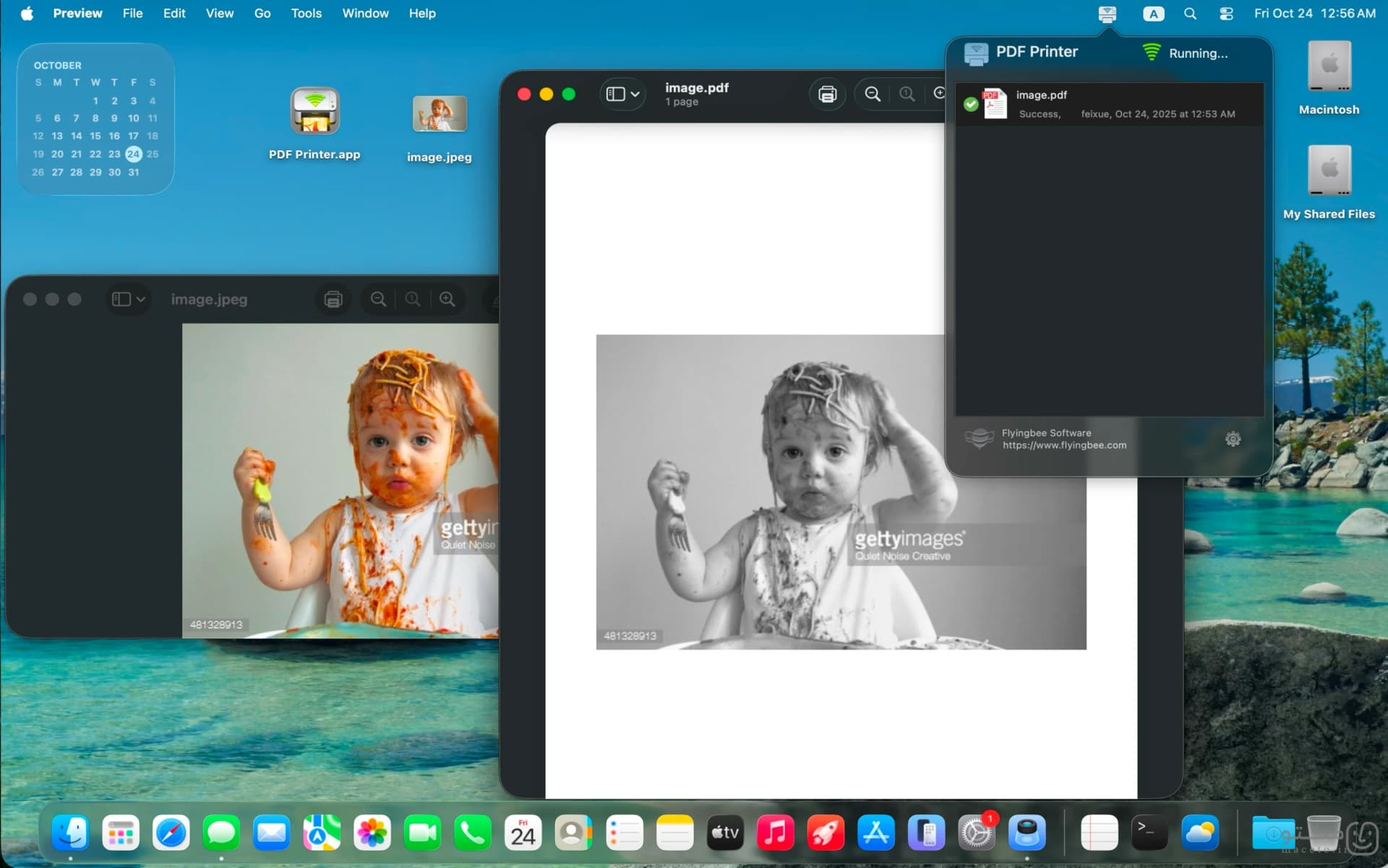 PDF Printer - تصویر 2