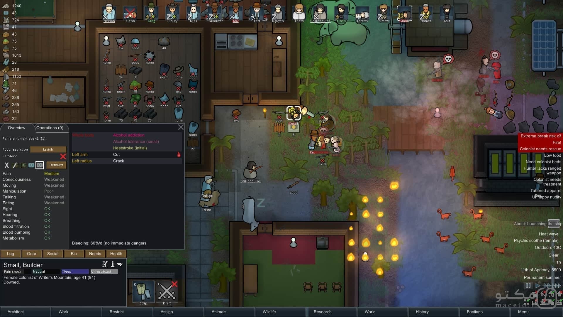 RimWorld - تصویر 3