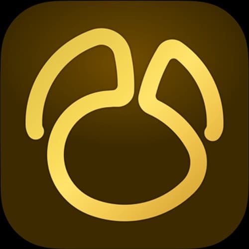 Navicat Premium