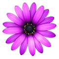 TextMate