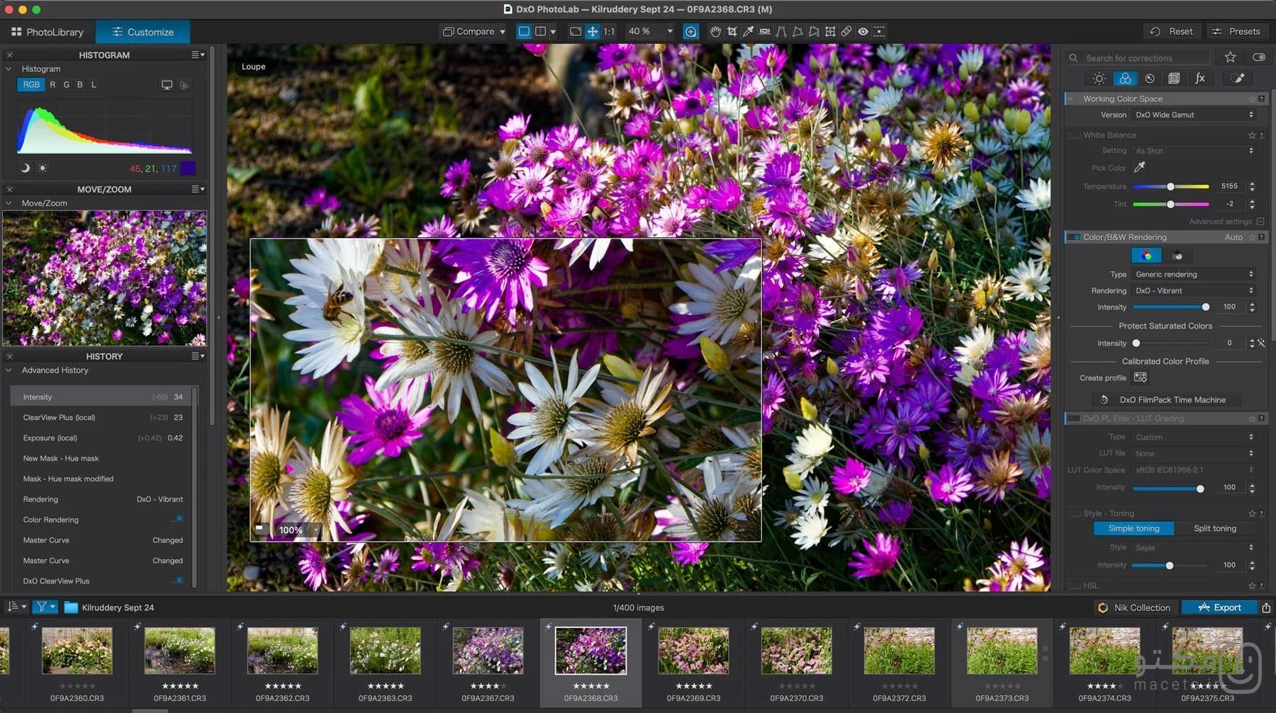 DxO PhotoLab 9 - تصویر 2