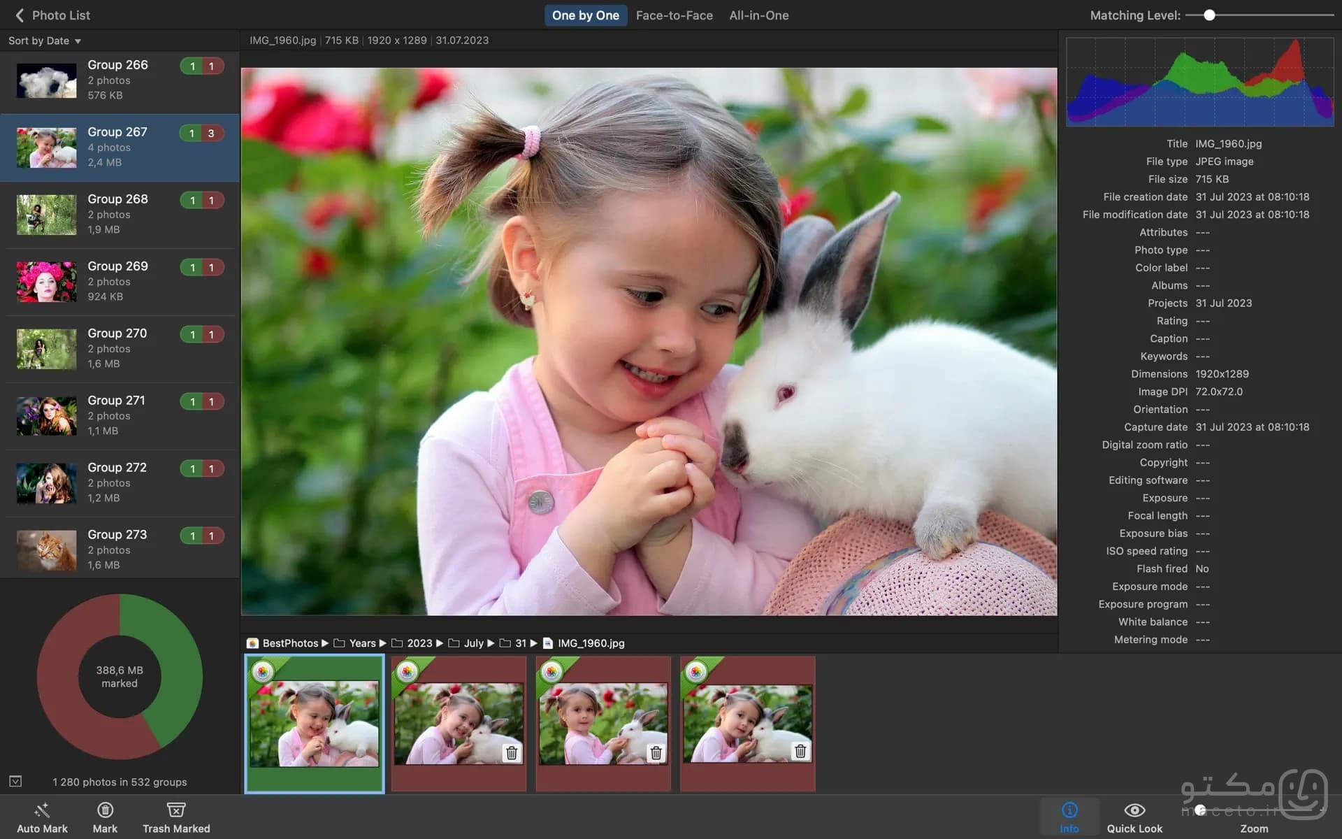 PhotoSweeper X - تصویر 1