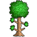Terraria