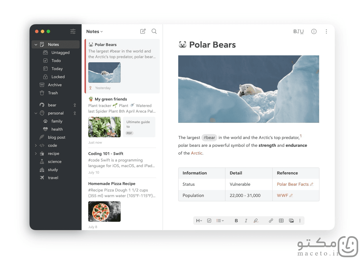 Bear - تصویر 1